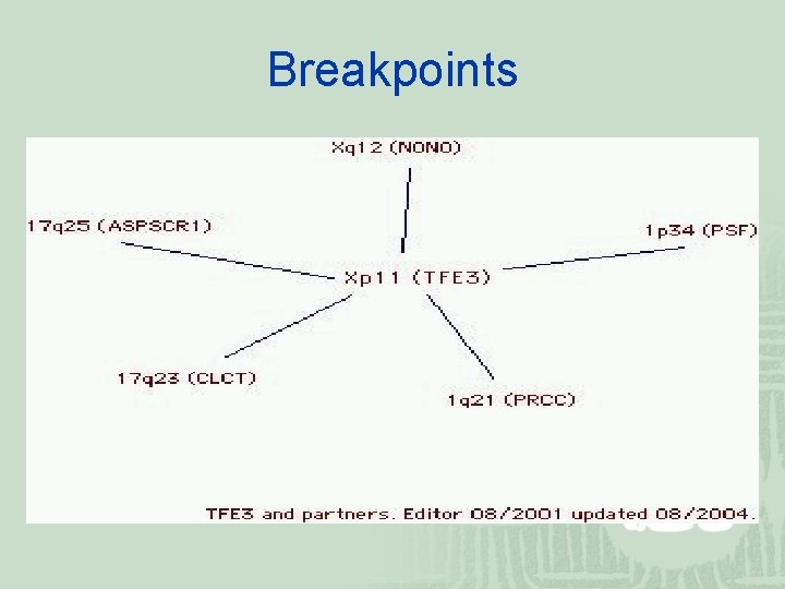 Breakpoints 