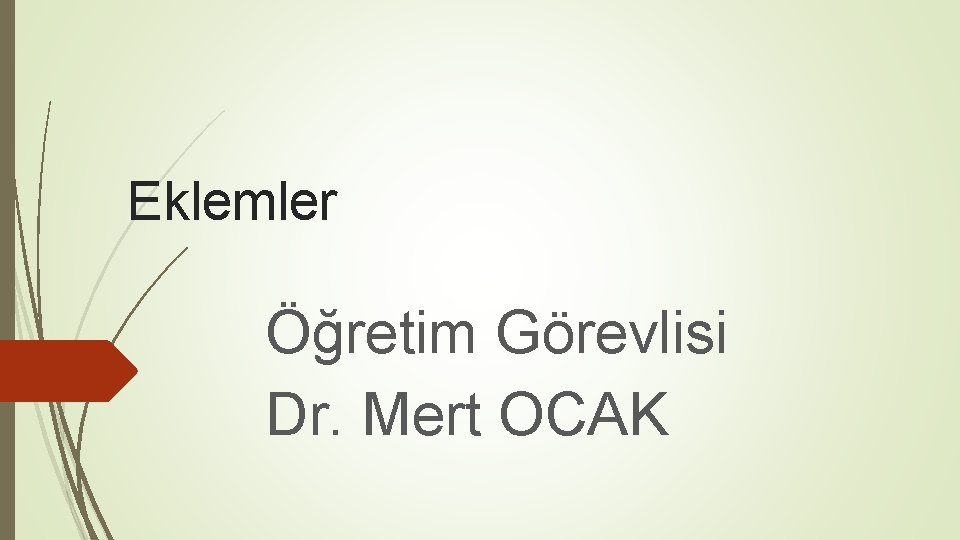 Eklemler Öğretim Görevlisi Dr. Mert OCAK 