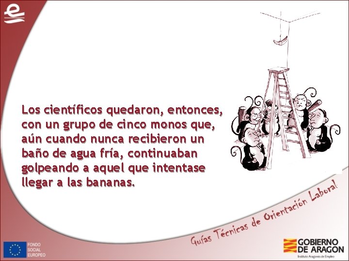 Los científicos quedaron, entonces, con un grupo de cinco monos que, aún cuando nunca Los científicos quedaron, entonces, con un grupo de cinco monos que, aún cuando nunca