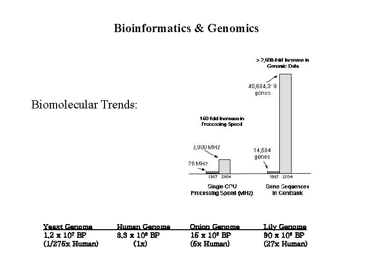 Bioinformatics & Genomics Biomolecular Trends: Yeast Genome 1. 2 x 107 BP (1/275 x