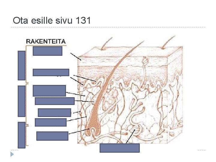 Ota esille sivu 131 