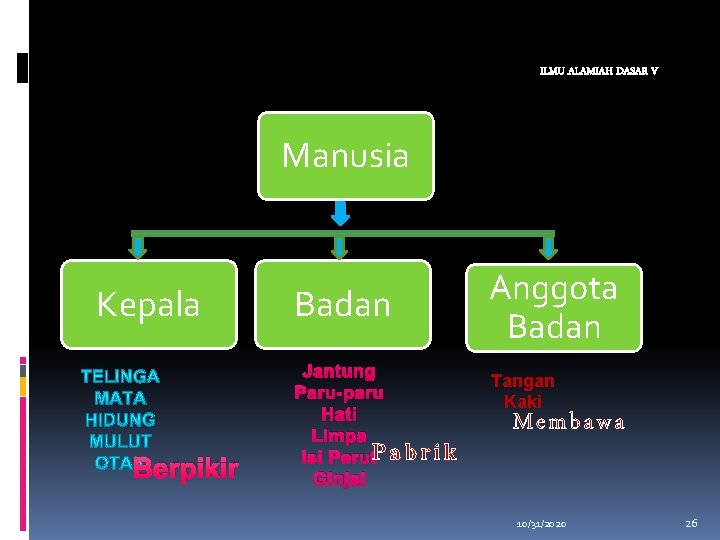 ILMU ALAMIAH DASAR V Manusia Kepala Berpikir Badan Jantung Paru-paru Hati Limpa Isi Perut.