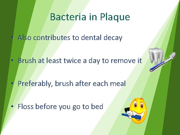 Bacteria in Plaque • Also contributes to dental decay • Brush at least twice