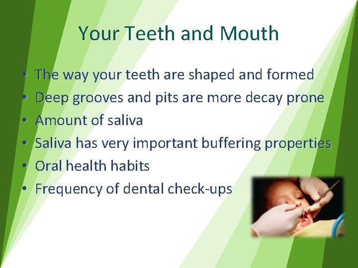 Your Teeth and Mouth • • • The way your teeth are shaped and