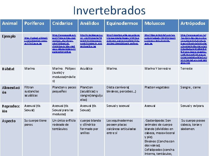 Invertebrados Animal Ejemplo Poríferos https: //upload. wikimedi a. org/wikipedia/commo ns/7/79/Spons. jpg Cnidarios Anélidos Equinodermos