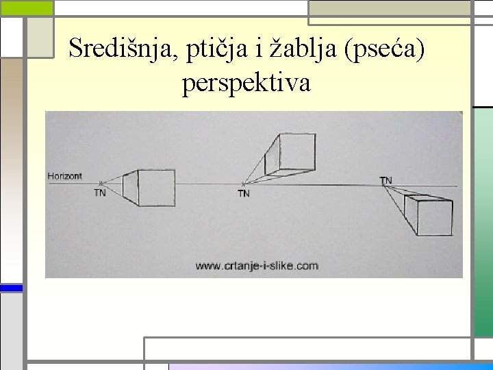 Središnja, ptičja i žablja (pseća) perspektiva 