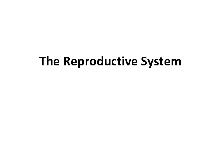 The Reproductive System 