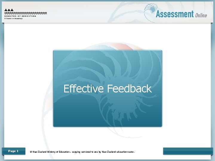 Effective Feedback Page 1 © New Zealand Ministry of Education – copying restricted to