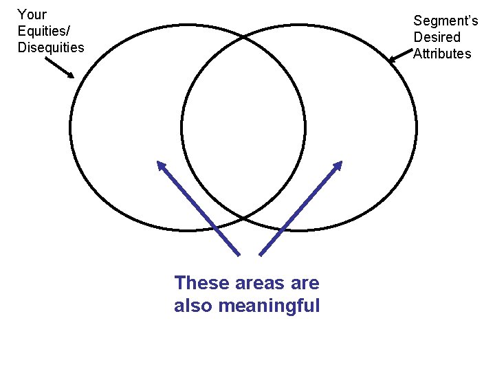 Your Equities/ Disequities Segment’s Desired Attributes These areas are also meaningful 