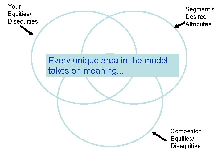 Your Equities/ Disequities Segment’s Desired Attributes Every unique area in the model takes on