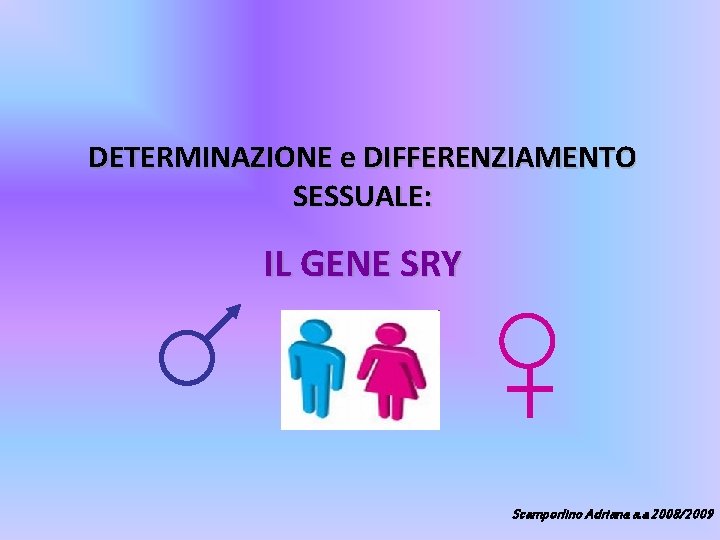 DETERMINAZIONE e DIFFERENZIAMENTO SESSUALE: IL GENE SRY Scamporlino Adriana a. a 2008/2009 