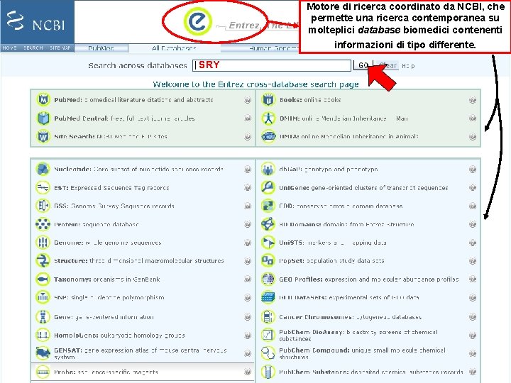 Motore di ricerca coordinato da NCBI, che permette una ricerca contemporanea su molteplici database