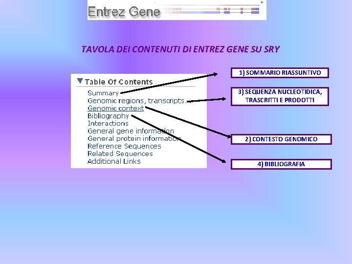 TAVOLA DEI CONTENUTI DI ENTREZ GENE SU SRY 1) SOMMARIO RIASSUNTIVO 3) SEQUENZA NUCLEOTIDICA,