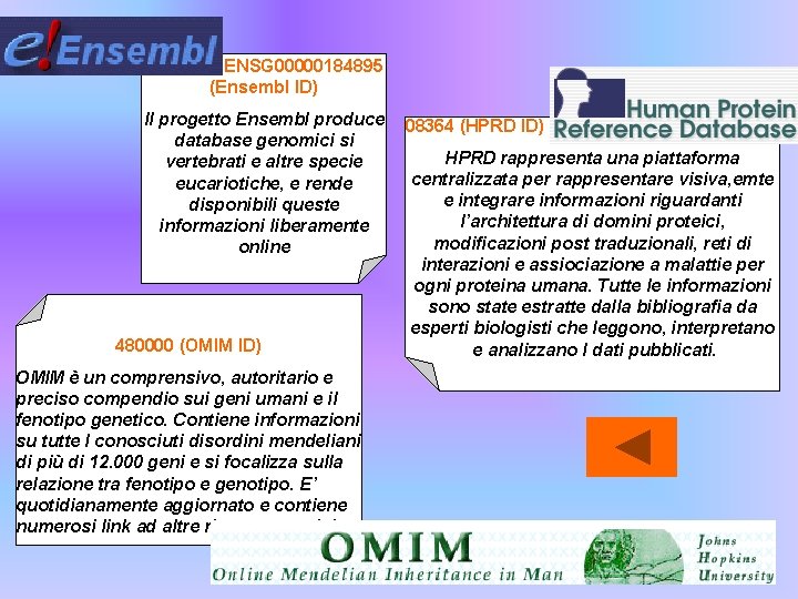 ENSG 00000184895 (Ensembl ID) Il progetto Ensembl produce 08364 (HPRD ID) database genomici si