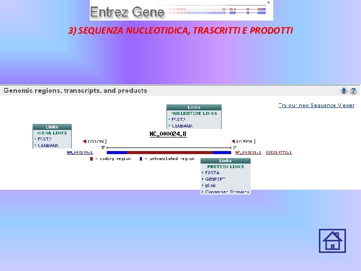 3) SEQUENZA NUCLEOTIDICA, TRASCRITTI E PRODOTTI 