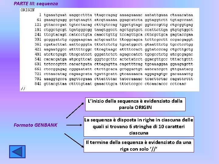 PARTE III: sequenza L’inizio della sequenza è evidenziato dalla parola ORIGIN Formato GENBANK La