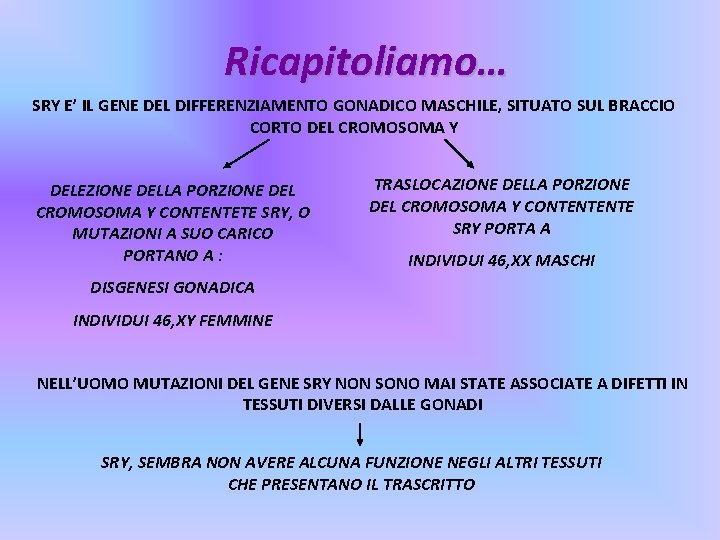 Ricapitoliamo… SRY E’ IL GENE DEL DIFFERENZIAMENTO GONADICO MASCHILE, SITUATO SUL BRACCIO CORTO DEL