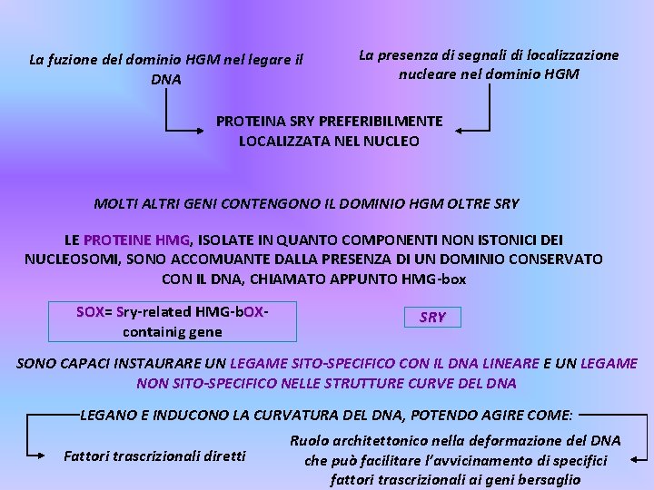 La fuzione del dominio HGM nel legare il DNA La presenza di segnali di