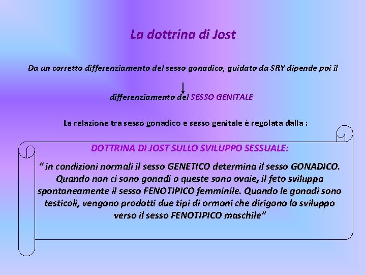 La dottrina di Jost Da un corretto differenziamento del sesso gonadico, guidato da SRY