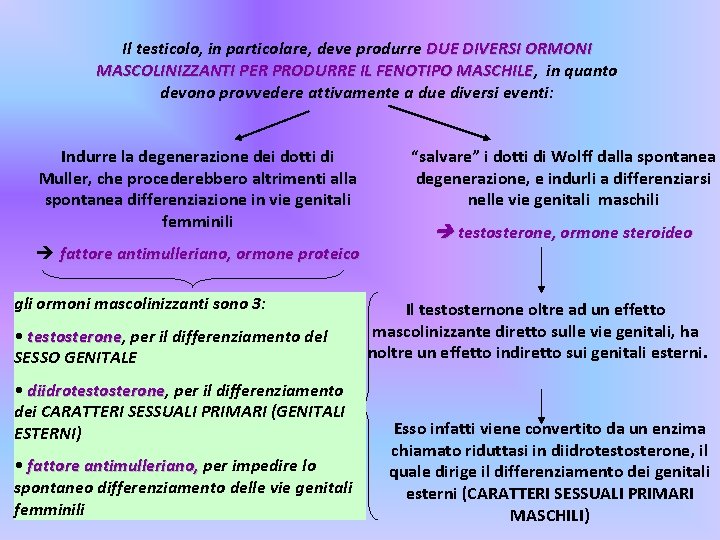 Il testicolo, in particolare, deve produrre DUE DIVERSI ORMONI MASCOLINIZZANTI PER PRODURRE IL FENOTIPO