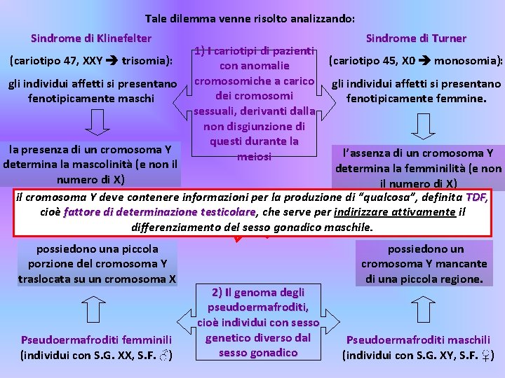 Tale dilemma venne risolto analizzando: Sindrome di Klinefelter (cariotipo 47, XXY trisomia): gli individui