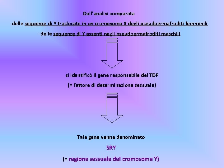 Dall’analisi comparata -delle sequenze di Y traslocate in un cromosoma X degli pseudoermafroditi femminili