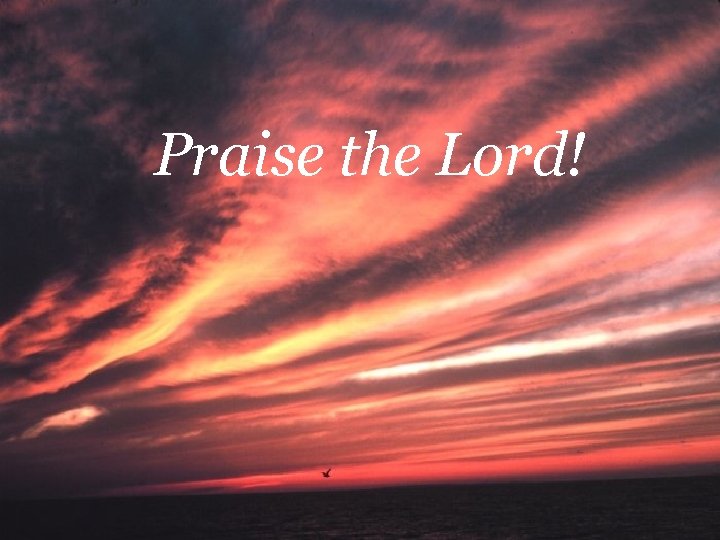 Praise the Lord! 