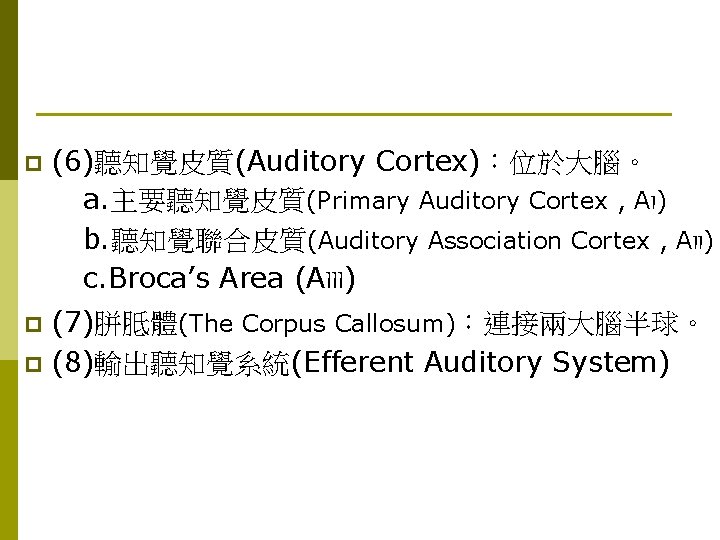p (6)聽知覺皮質(Auditory Cortex)：位於大腦。 a. 主要聽知覺皮質(Primary Auditory Cortex , AI) b. 聽知覺聯合皮質(Auditory Association Cortex ,