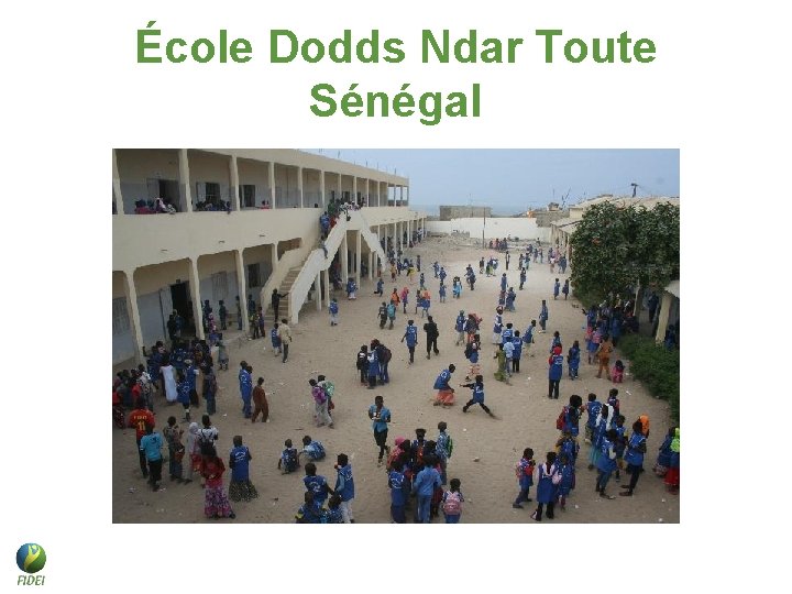 École Dodds Ndar Toute Sénégal École Dodds Ndar Toute Sénégal