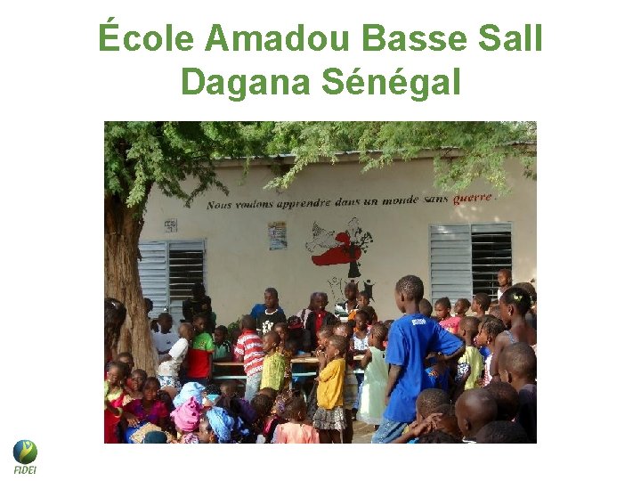 École Amadou Basse Sall Dagana Sénégal École Amadou Basse Sall Dagana Sénégal