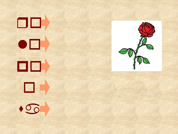 ro lo po o sa 