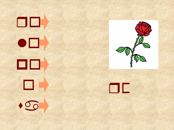 ro lo po o sa ro 