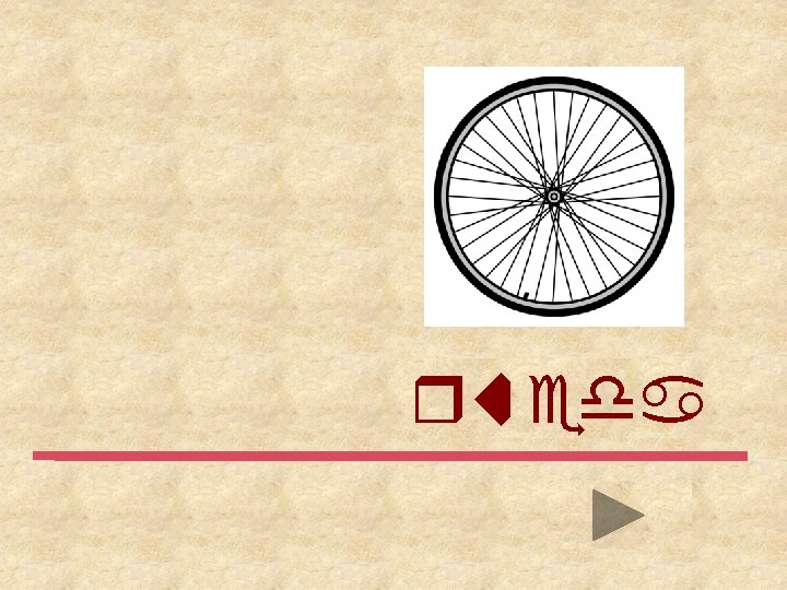 rueda 