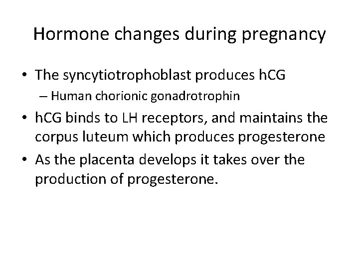 Hormone changes during pregnancy • The syncytiotrophoblast produces h. CG – Human chorionic gonadrotrophin