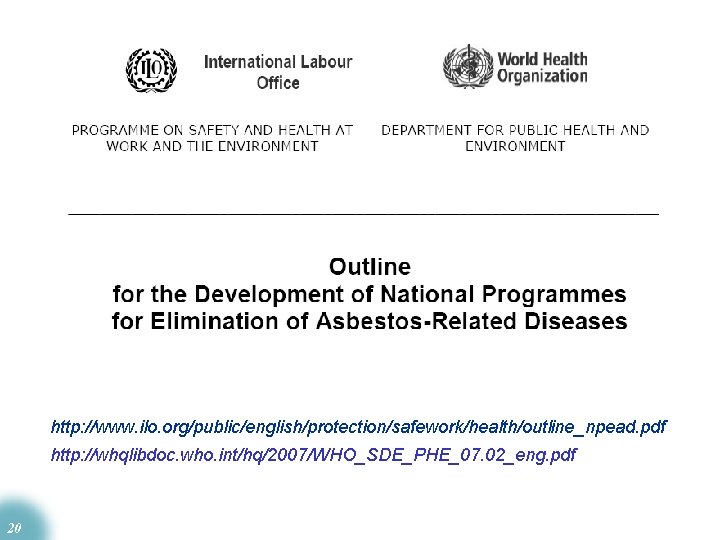 http: //www. ilo. org/public/english/protection/safework/health/outline_npead. pdf http: //whqlibdoc. who. int/hq/2007/WHO_SDE_PHE_07. 02_eng. pdf 20 