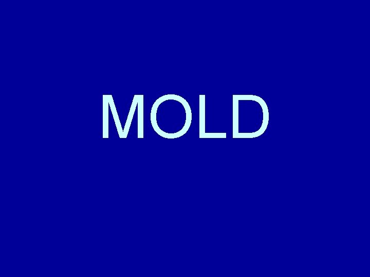 MOLD 