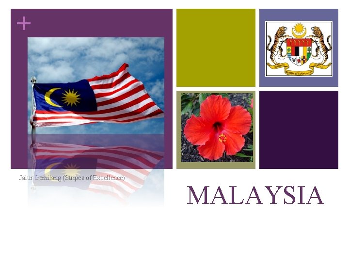 + Jalur Gemilang (Stripes of Excellence) MALAYSIA 