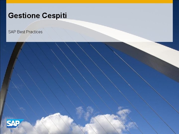 Gestione Cespiti SAP Best Practices 