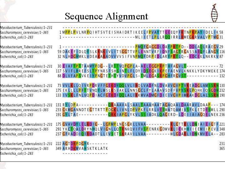 Understanding the complexity of Protein Function Jarod Fincher