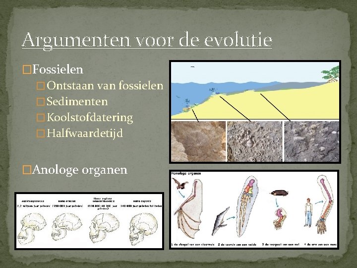 Argumenten voor de evolutie �Fossielen � Ontstaan van fossielen � Sedimenten � Koolstofdatering �