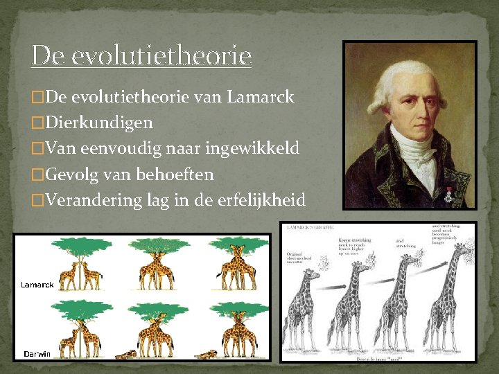 De evolutietheorie �De evolutietheorie van Lamarck �Dierkundigen �Van eenvoudig naar ingewikkeld �Gevolg van behoeften