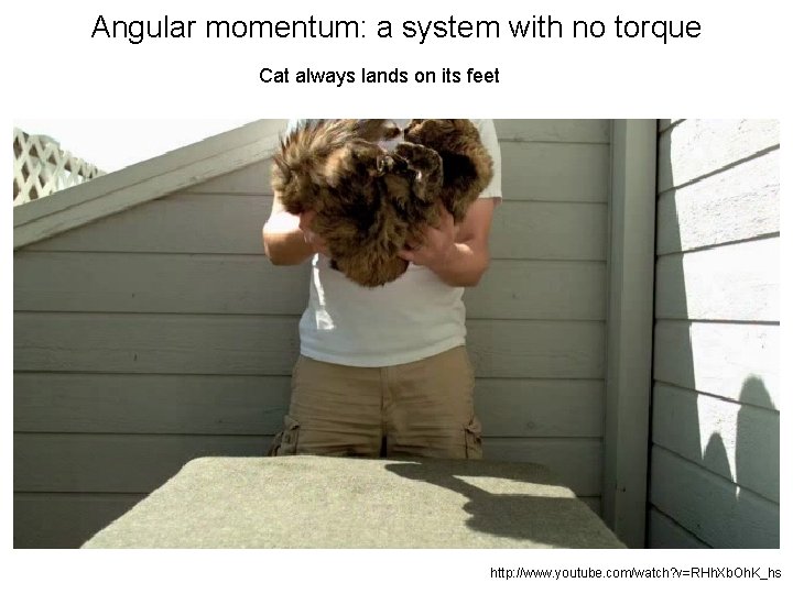 Angular momentum: a system with no torque Cat always lands on its feet http: