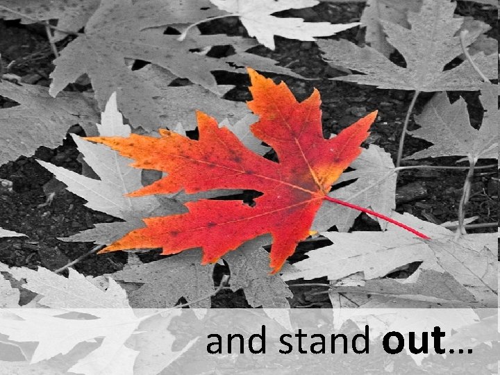 and stand out… 