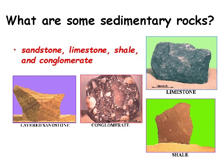 What are some sedimentary rocks? • sandstone, limestone, shale, and conglomerate 