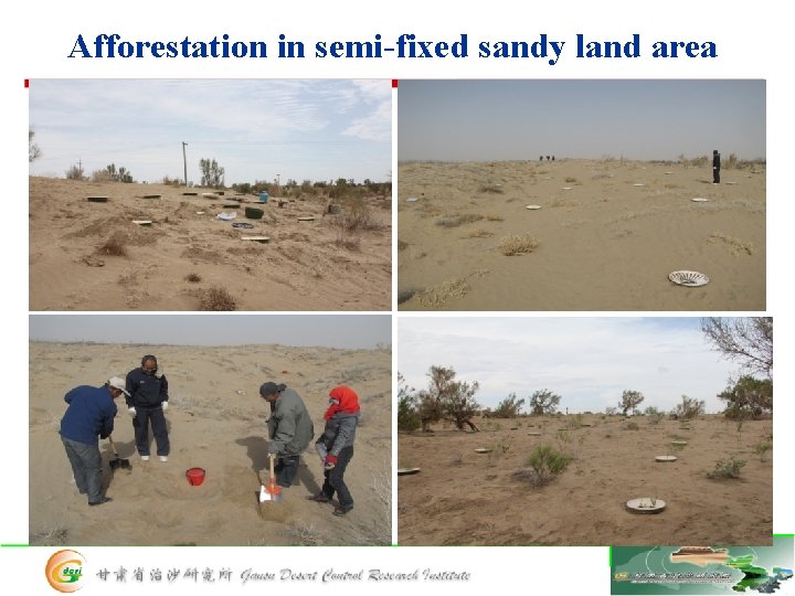 Afforestation in semi-fixed sandy land area 半固定沙丘 