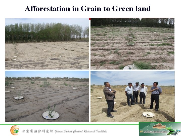 Afforestation in Grain to Green land 