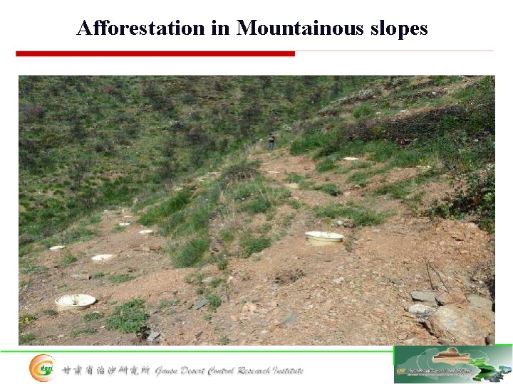 Afforestation in Mountainous slopes 