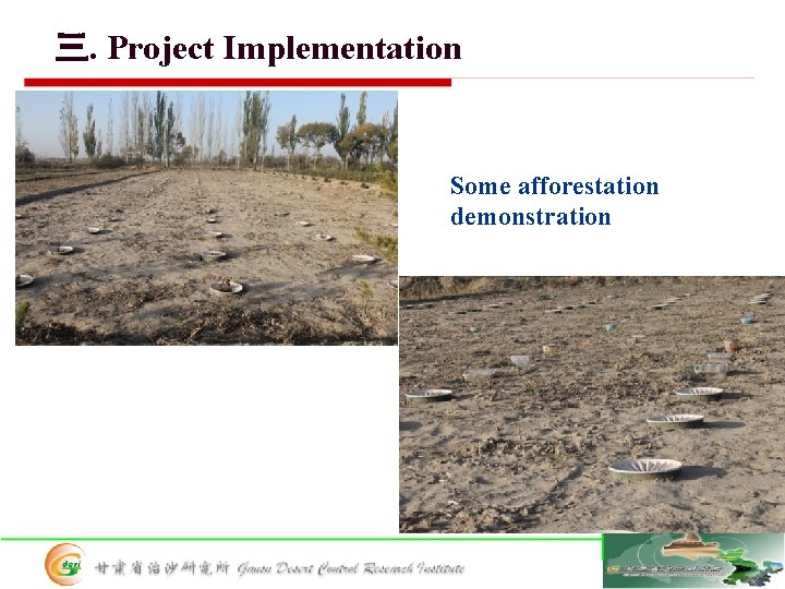 三. Project Implementation Some afforestation demonstration 