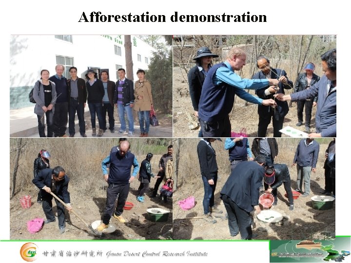 Afforestation demonstration 