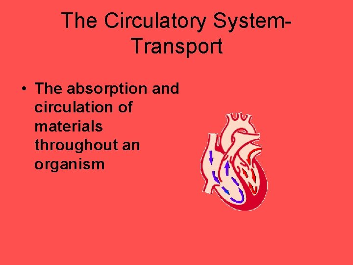 The Circulatory System. Transport • The absorption and circulation of materials throughout an organism
